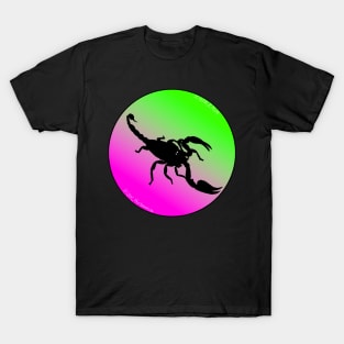 Scorpion Pink/Green “Watermelon” Gradient T-Shirt